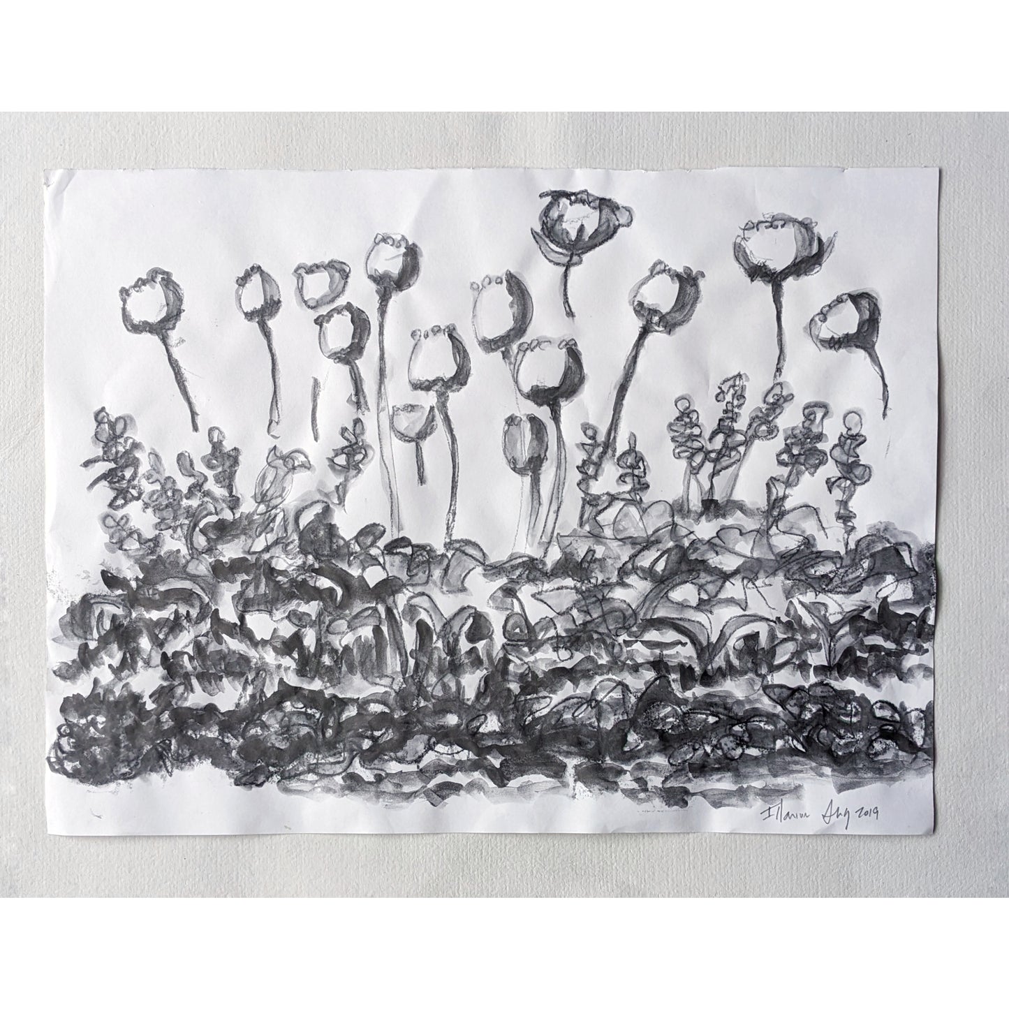 Flower Sketch I