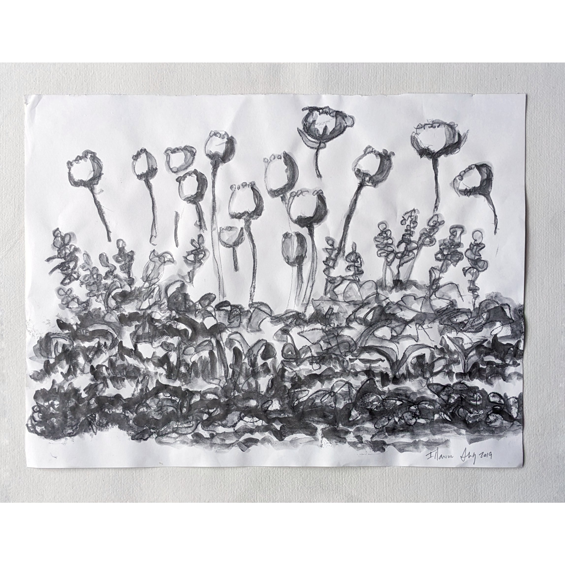 Flower Sketch I