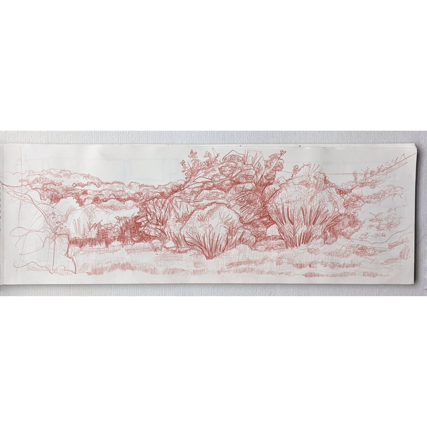 Landscape IV