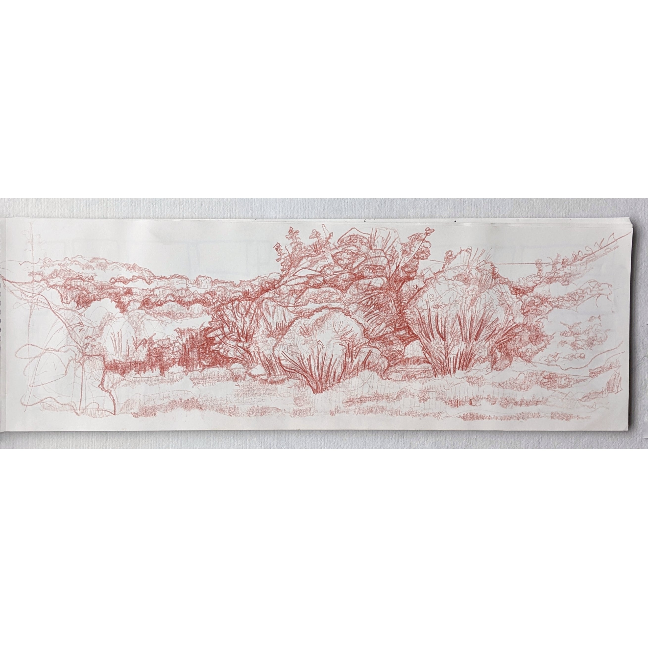 Landscape IV